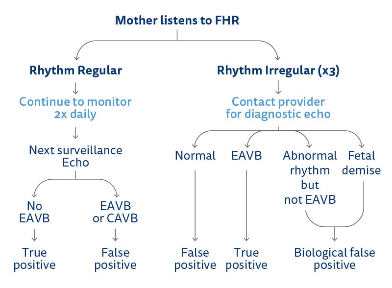 A decision tree that begins with a mother listening with the FHR doppler. If the rhythm is regular, monitor two times daily. If the rhythm is irregular three times, then contact provider for a diagnostic echo.